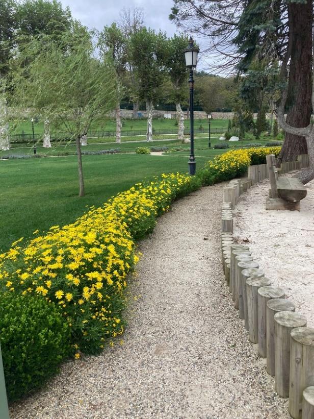 National Palaces Garden Maintenance and Repair Works 6